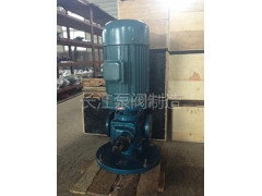 LYB型立式圓弧齒輪泵供應 (1)