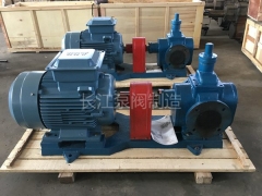 YCB圓弧齒輪泵 (9)