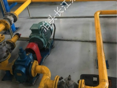 天津静海区某润滑油项目配套圆弧齿轮泵