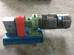 RT熔體泵精密計量泵口罩泵生產廠家